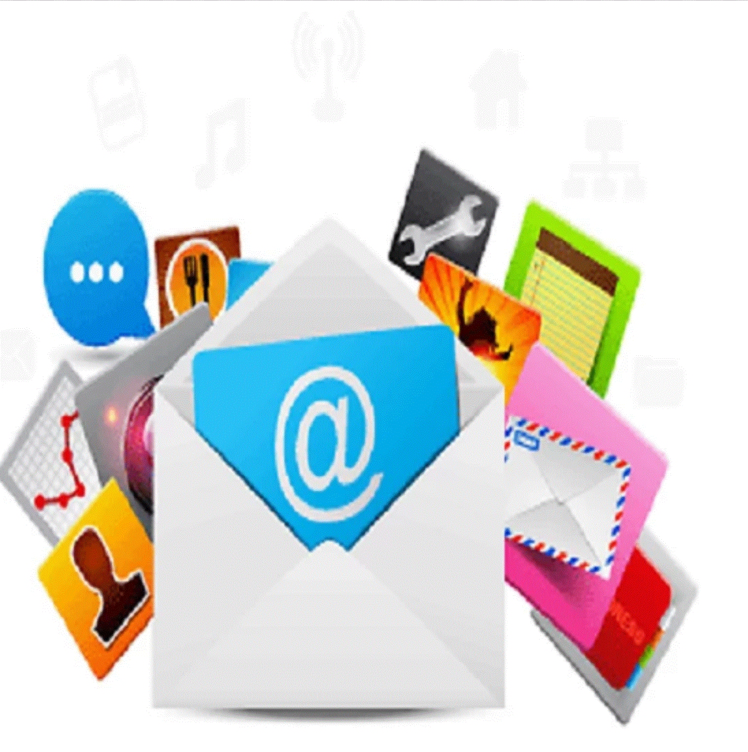 Business Email Database