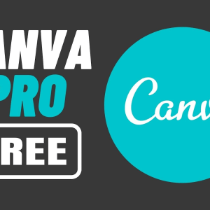 Buy LIFETIME Canva Pro for Education - Shared account
